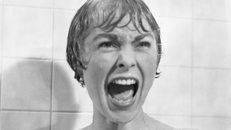 Marion Crane screams in shower