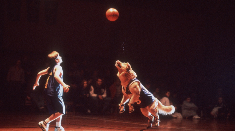 Air bud balling