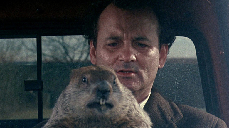 Bill Murray and Punxsutawney Phil