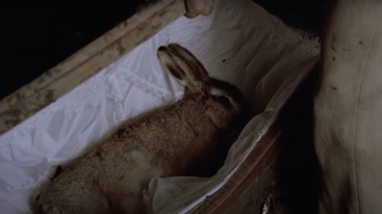 Dead hare in a coffin