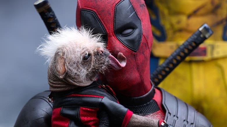 Deadpool holds Dogpool 