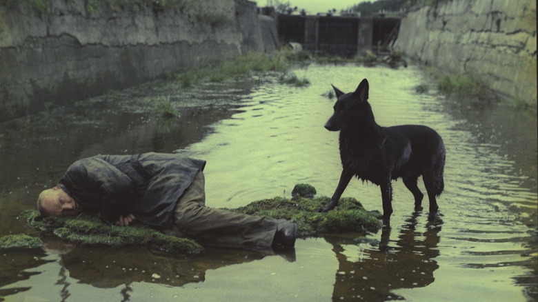 The Stalker lies in a river with a dog in "Stalker" (1979)