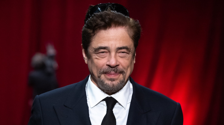 Benicio Del Toro posing on the red carpet