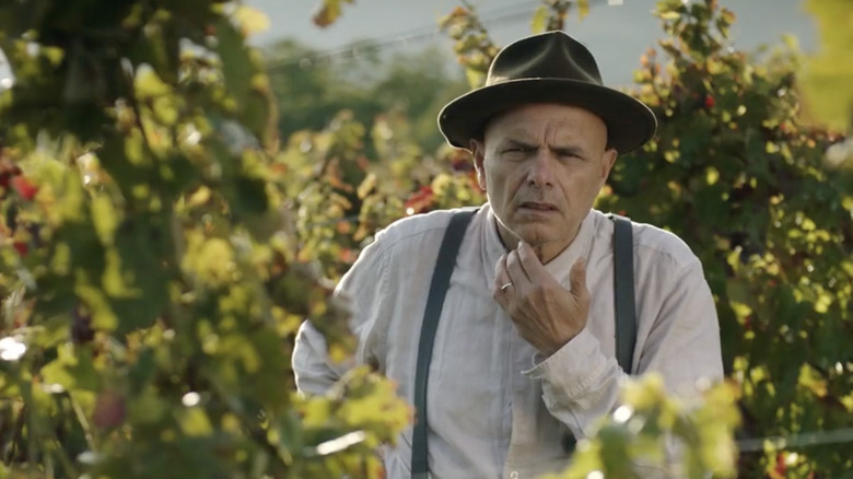 Man looks confused in a vineyard