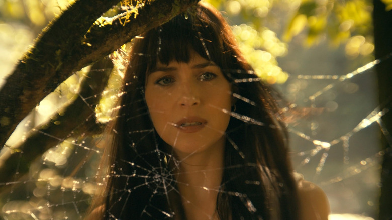 Cassandra stares through a spider web in 