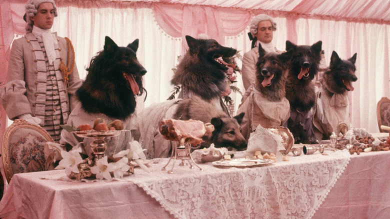 Wolves seated at table