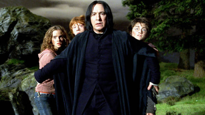 Snape shielding Harry Ron Hermione