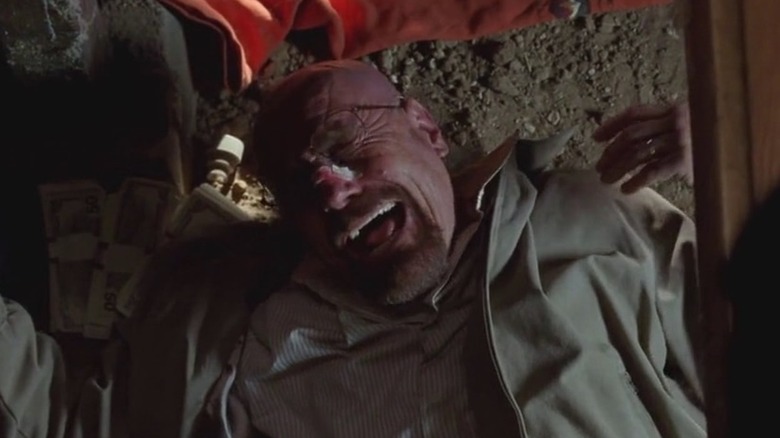 Walt breaking down in Crawl Space