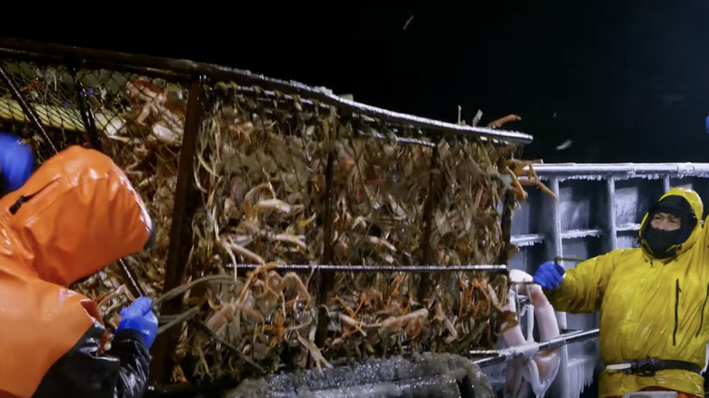 Fishermen with crab haul