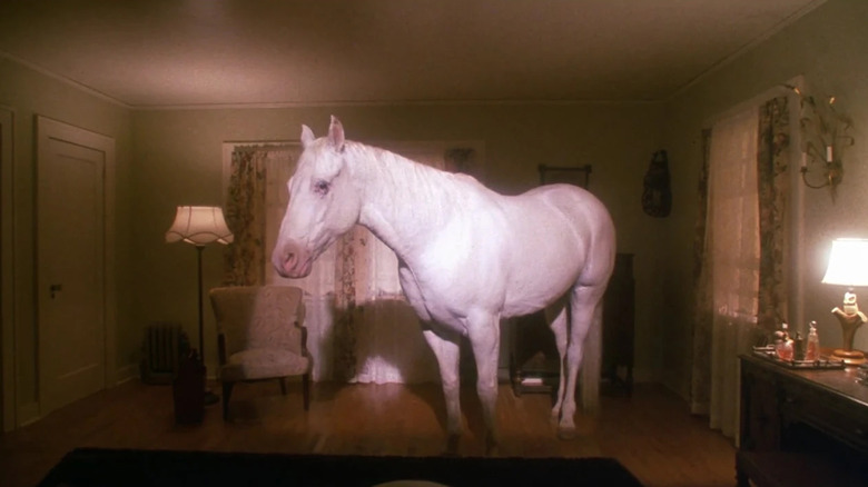 White horse in Palmer living room