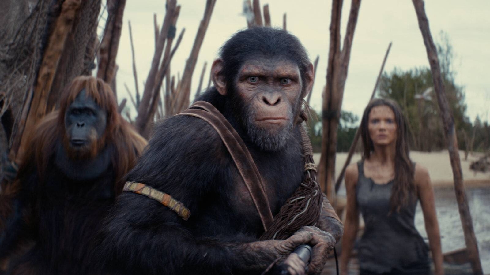 The 7 Best Movies To Watch If You Like Planet Of The Apes