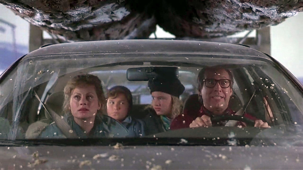 The Griswolds in National Lampoon's Christmas Vacation