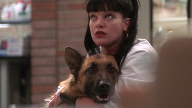 NCIS Abby holds Jethro the dog