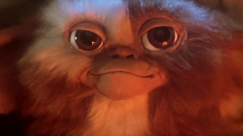 Gremlin close up