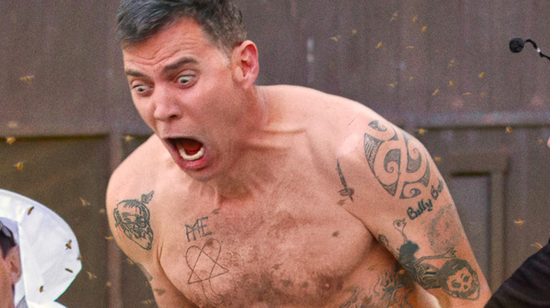 Steve-O screaming as he is stung by bees