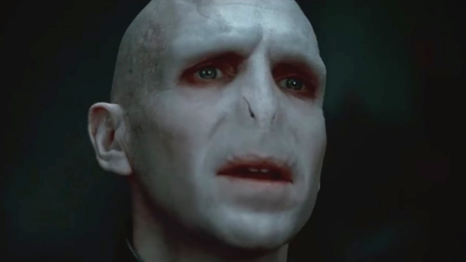 The Actor Replacement In Harry Potter That Bothers Some Fans