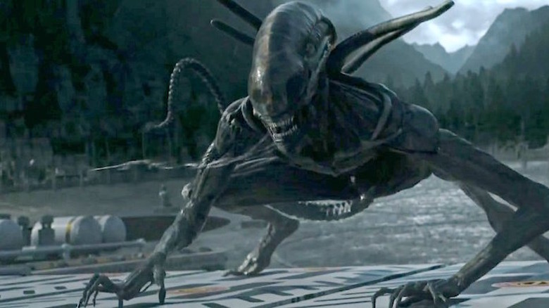 The Xenomorph climbs on ship