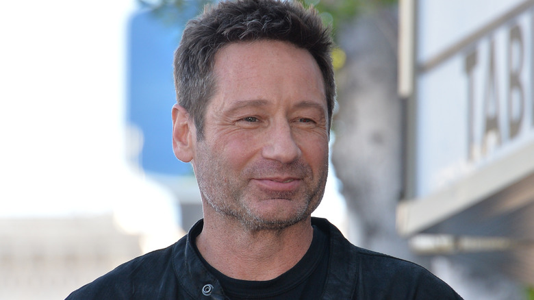 David Duchovny smiles