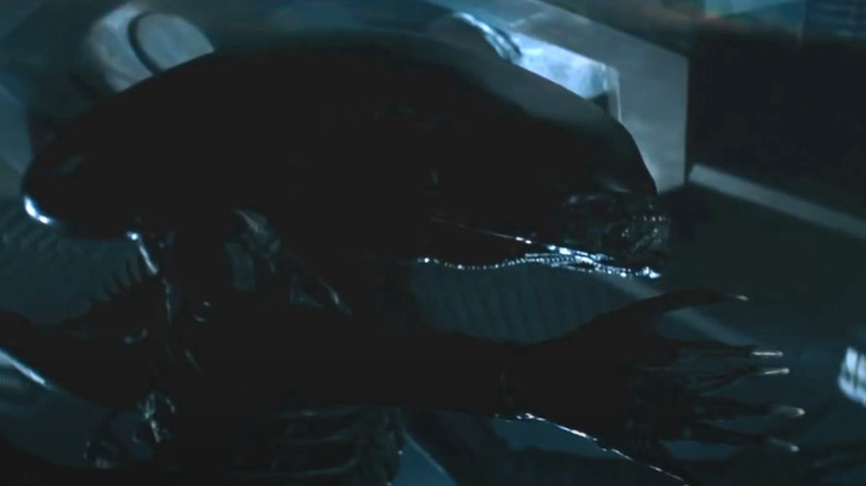 The Xenomorph in Alien