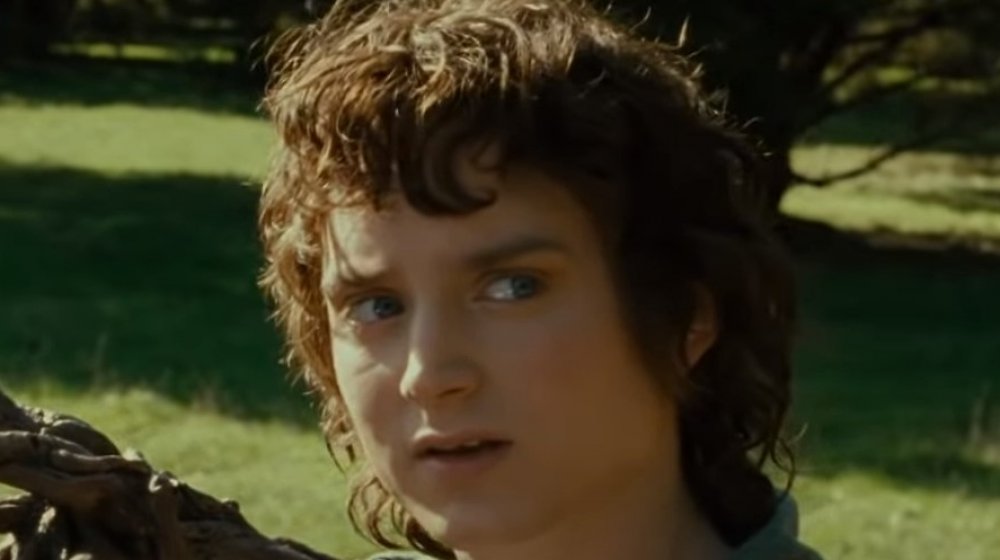 Frodo Baggins in The Lord of the Rings