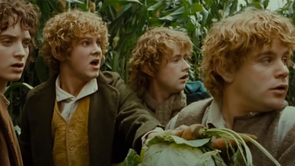 Merry Brandybuck, Pippin Took, Samwise Gamgee, and Frodo Baggins in The Lord of the Rings