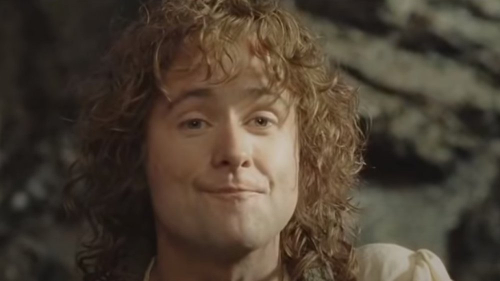 Peregrin Took in The Lord of the Rings