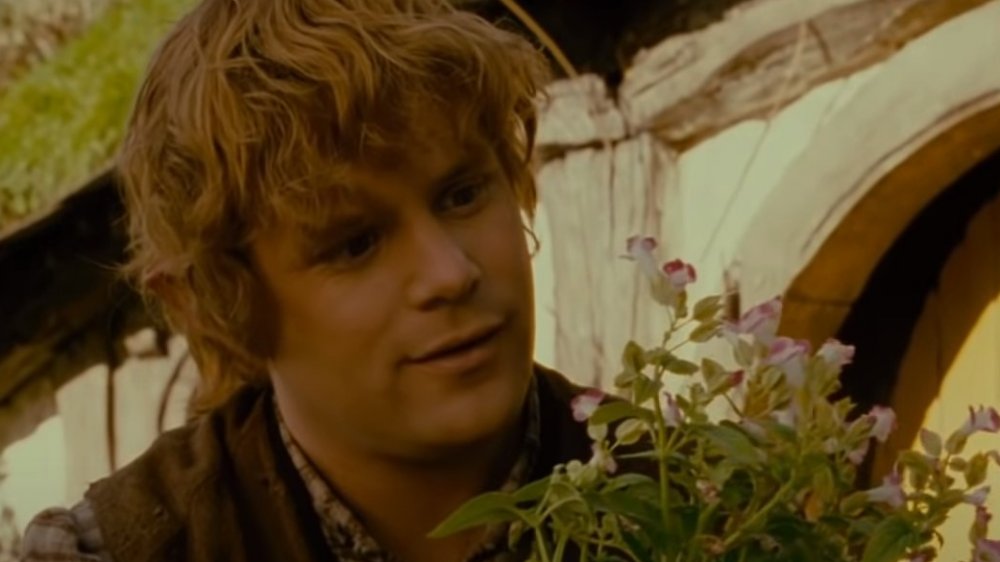 Samwise Gamgee in The Lord of the Rings