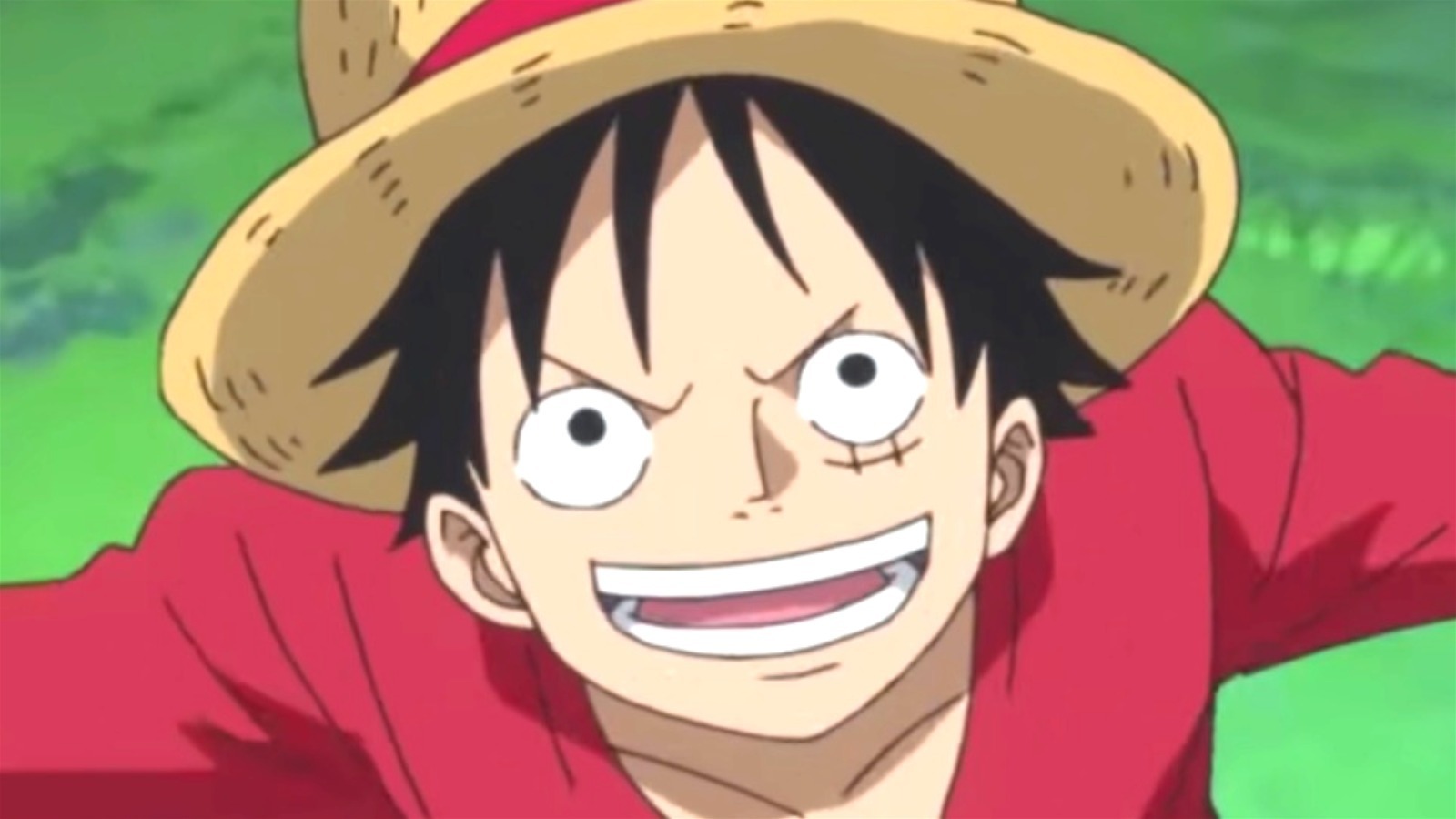 The Beloved Character Fans Hope Returns To One Piece