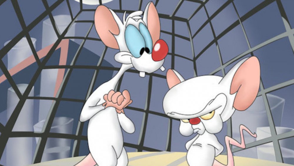 Pinky and the Brain from Animaniacs