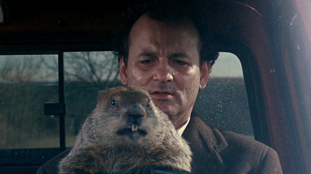 Bill Murray in Groundhog Day