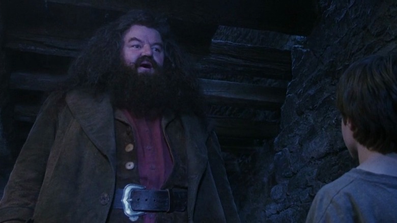 Hagrid with Harry