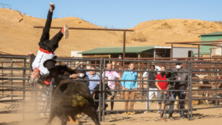 Johnny Knoxville hit by a bull