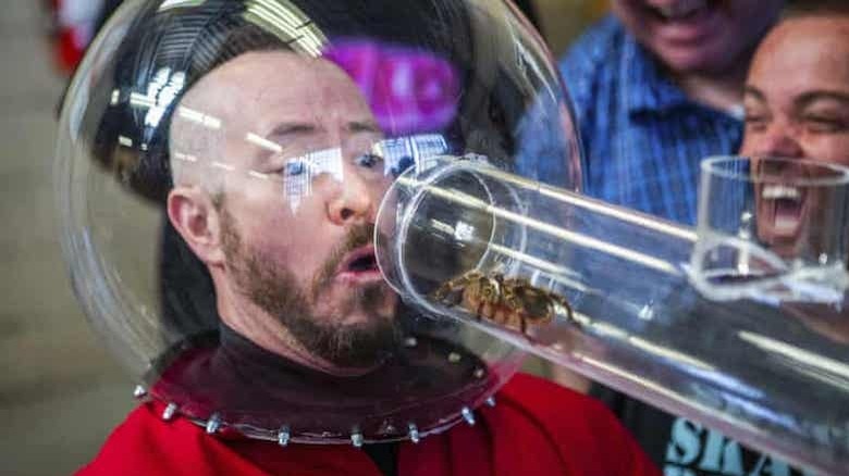 Danger Ehren in a helmet looking at a tarantula