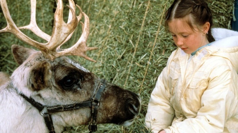 Prancer Jessica feeds reindeer