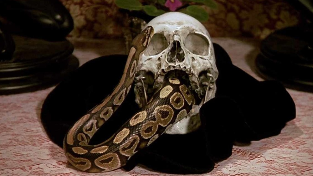 snake crawls out of a skull in Murder, She Wrote