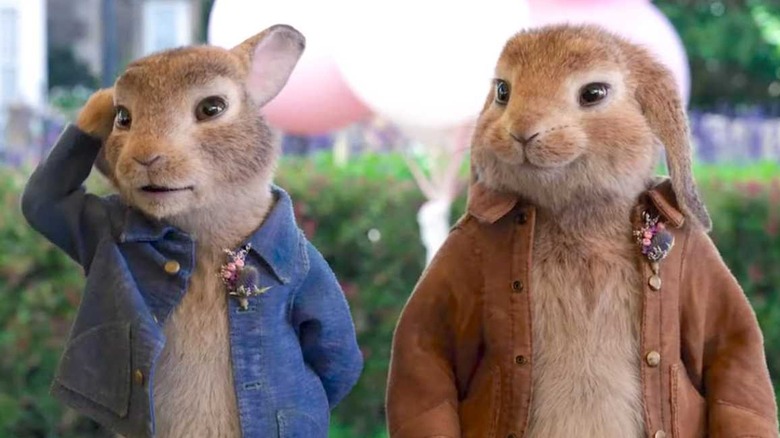 Peter Rabbit and Benjamin 