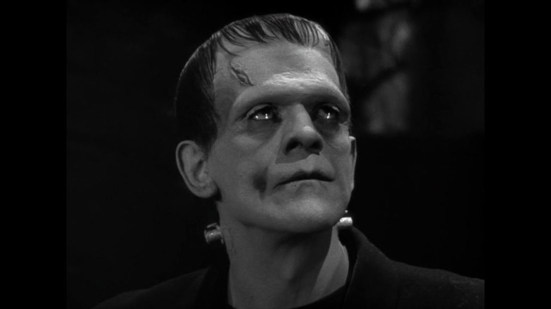 Frankenstein 1931 movie