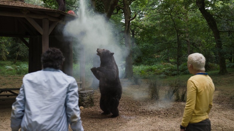 The bear gets high