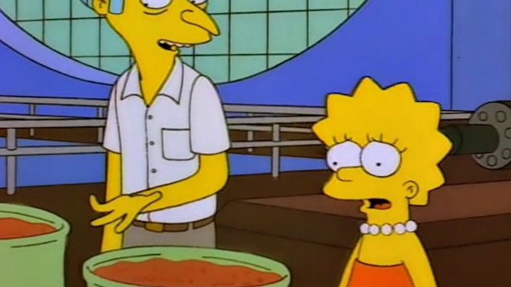 The Best Lisa Moments On The Simpsons