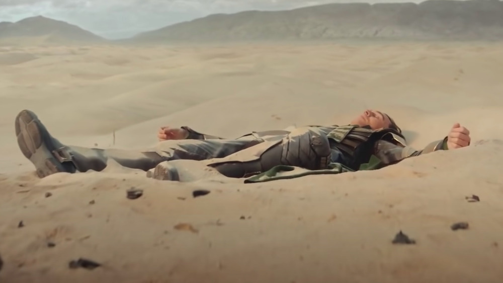 Loki lying in sand