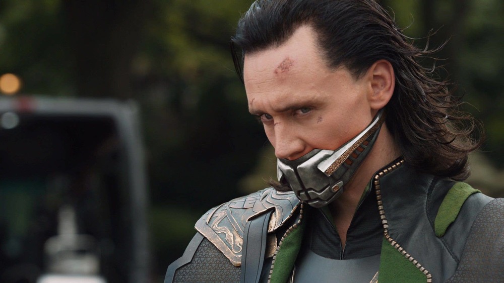 Loki wearing muzzle