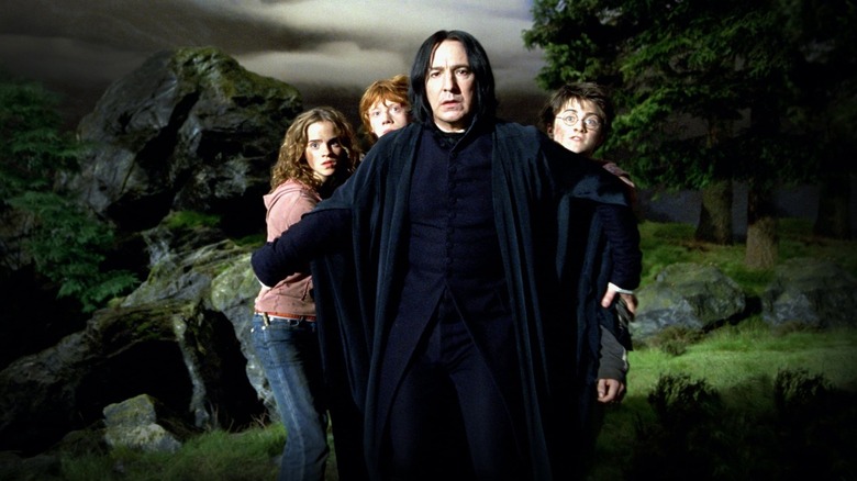 Snape, Harry, Hermione, and Ron together