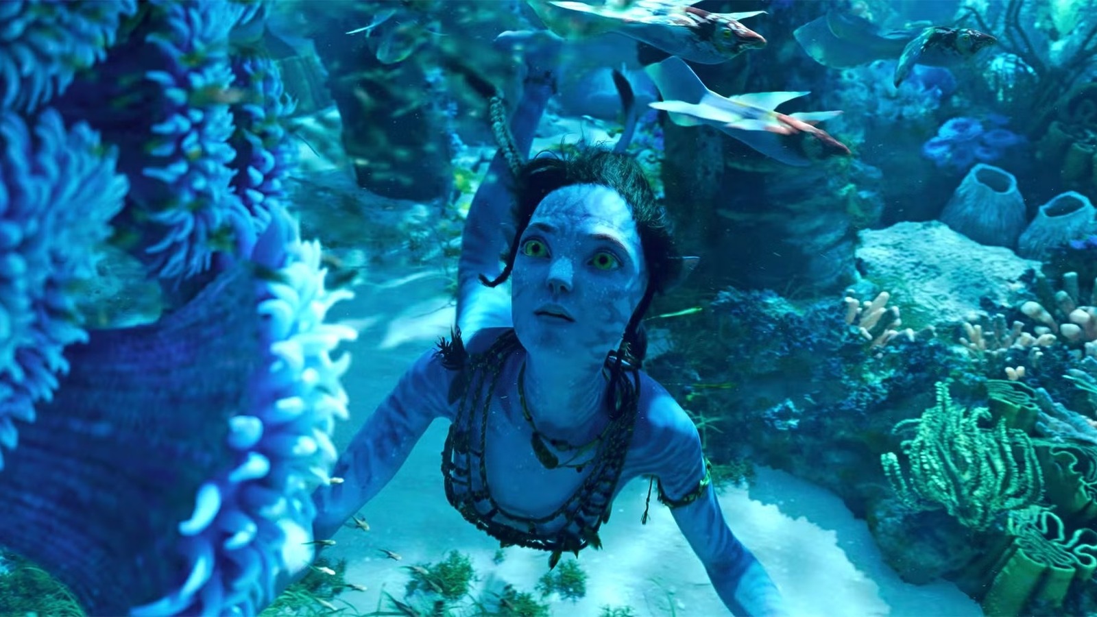 The Best Movies About The Ocean, Ranked