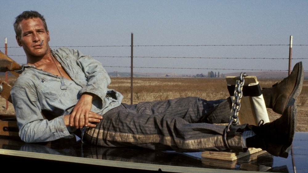 Cool Hand Luke Paul Newman