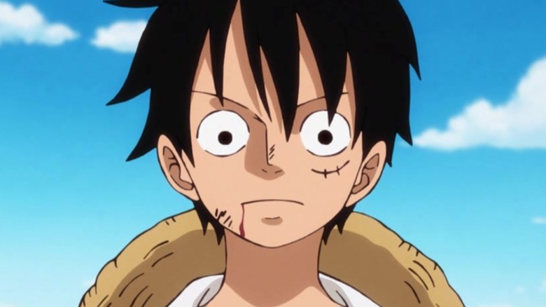 The One Piece manga's characters' crucial details must be