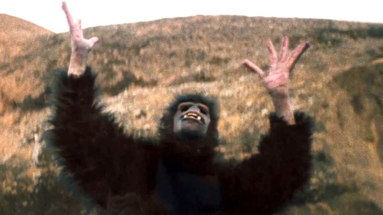 Daniel Scheinert in an ape costume