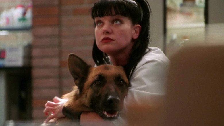 Abby holds a dog on "NCIS"