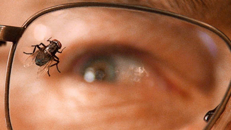 A fly on Walter White's glasses