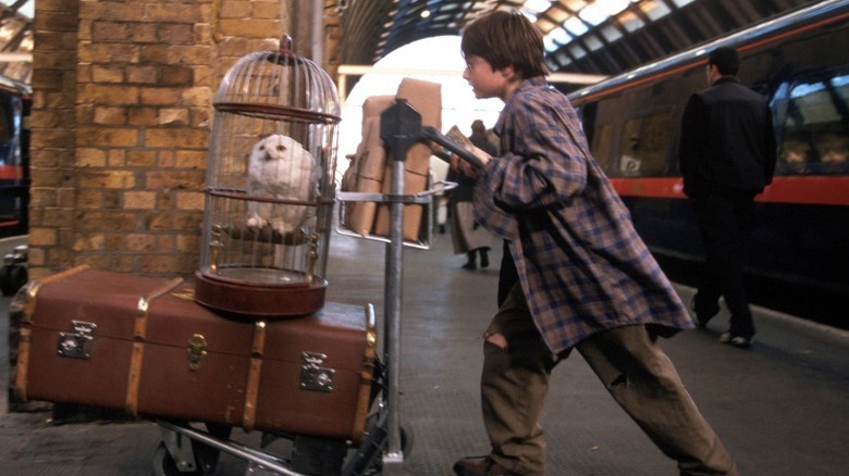 Harry and his luggage