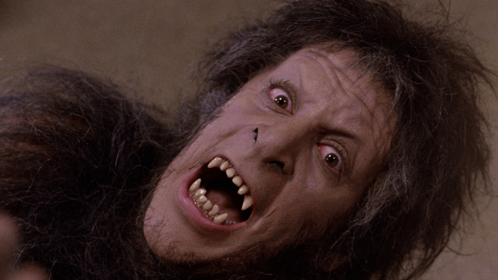 12 Lycanthrope Movies With The Best and Most Inventive Werewolves